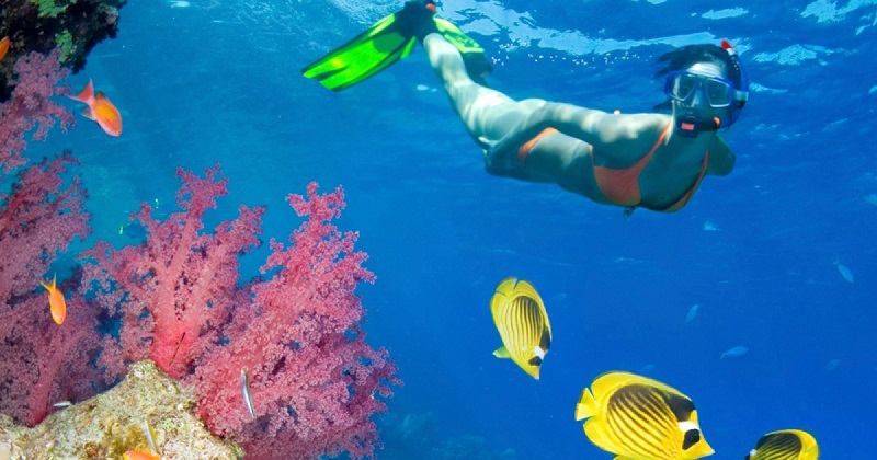 Snorkel em Reef Explorer - Punta Cana