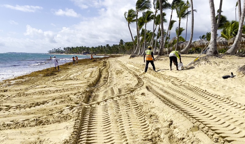 Funcionários tirando sargaço de praia em Punta Cana